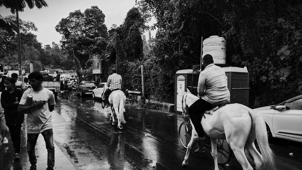 Фотография автора Captured Chronicles