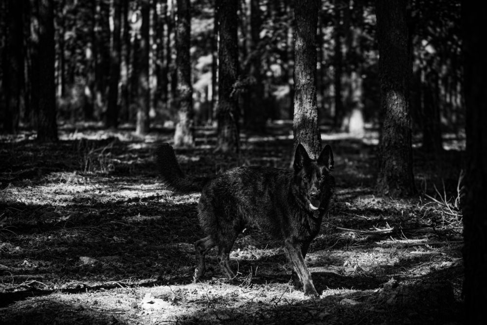 Фотография автора Izan Zufiaurre Sánchez