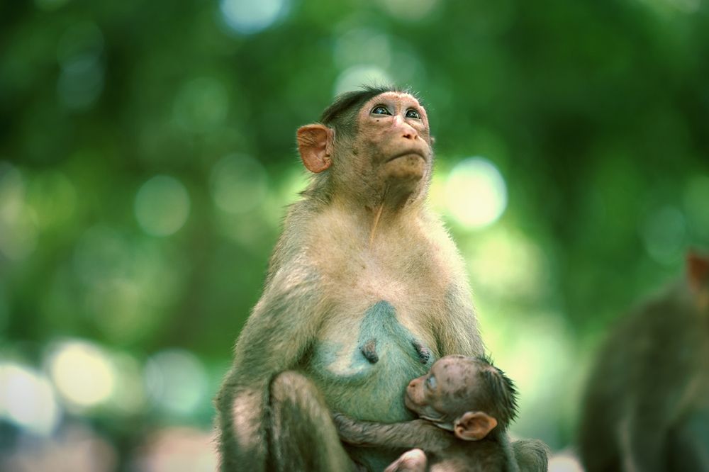 Innocence in Her Arms