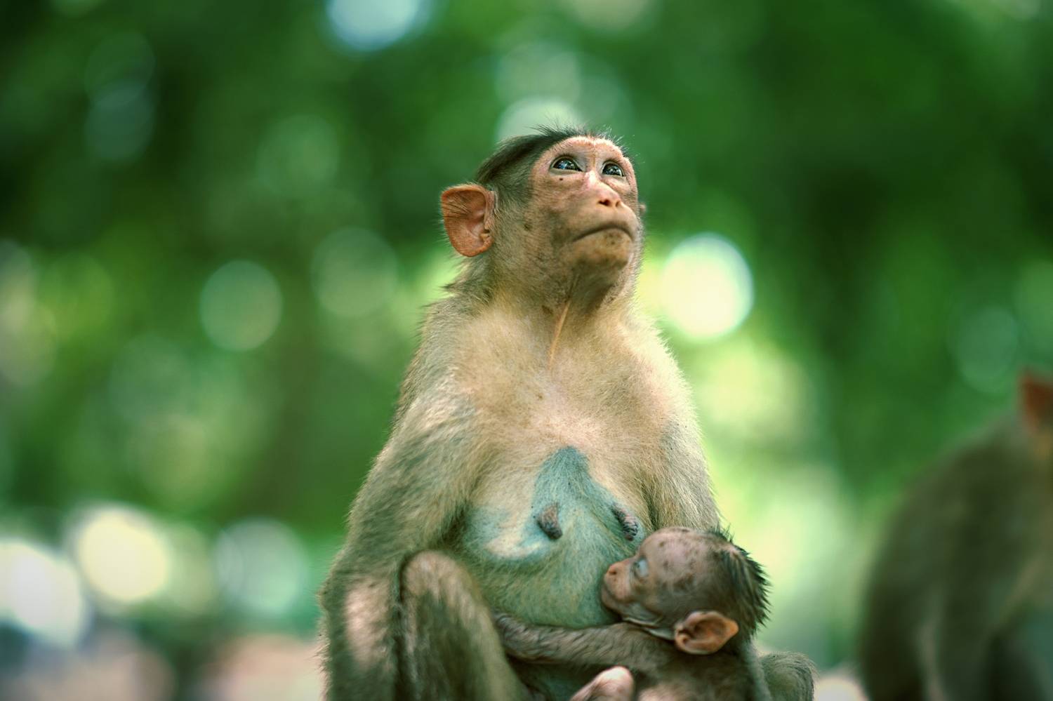 Innocence in Her Arms