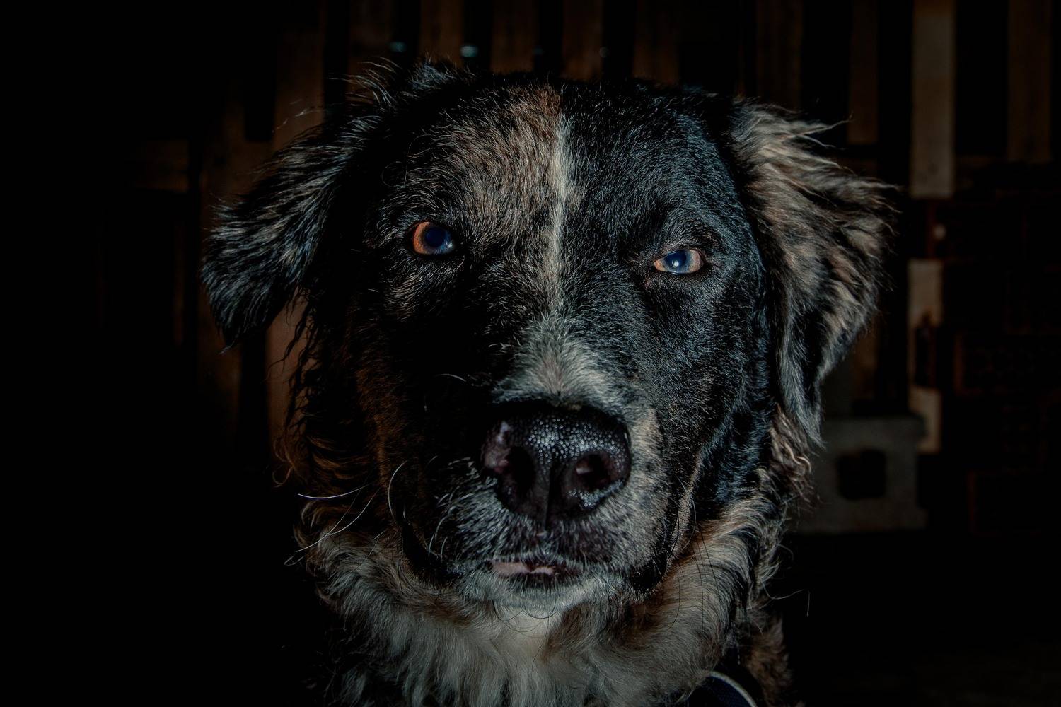 Фотография #12822649