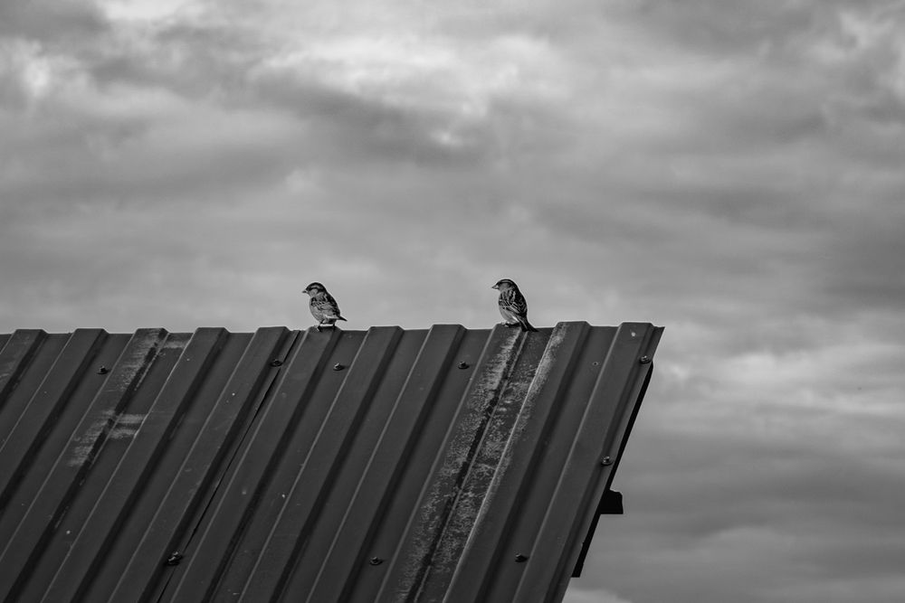 Photograph by Надежда Ключкина