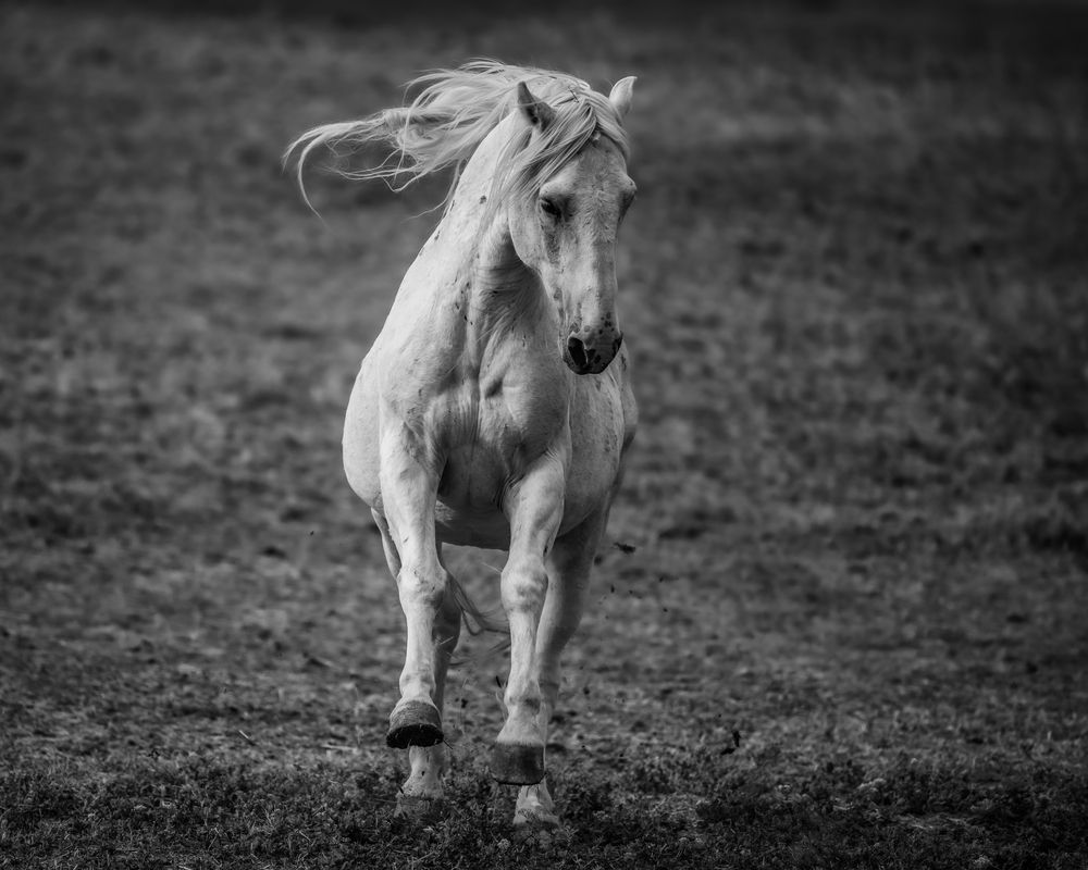 Photograph by Tony Douzenis