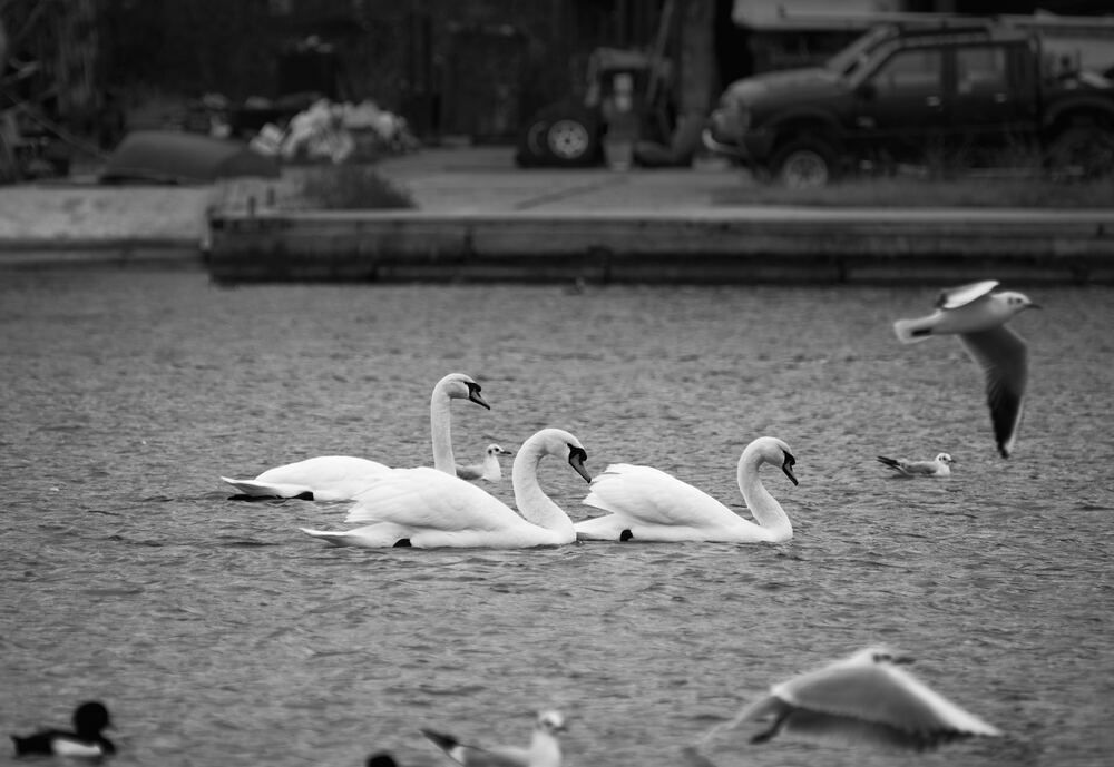 Photograph by Константин Громов