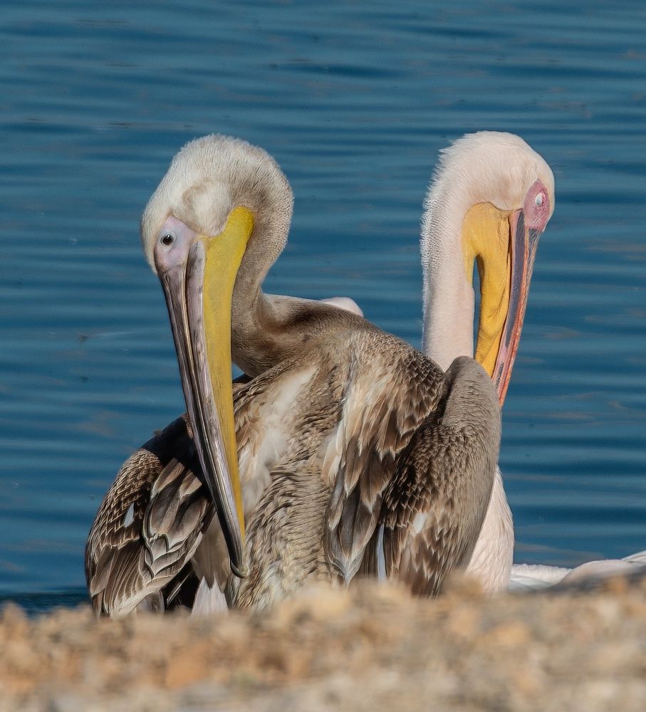 Photograph by Vladimir Bragilevsky