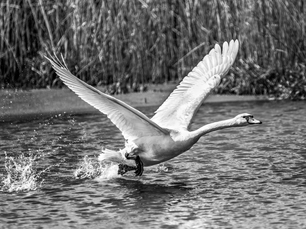 Photograph by Сергей Степанов