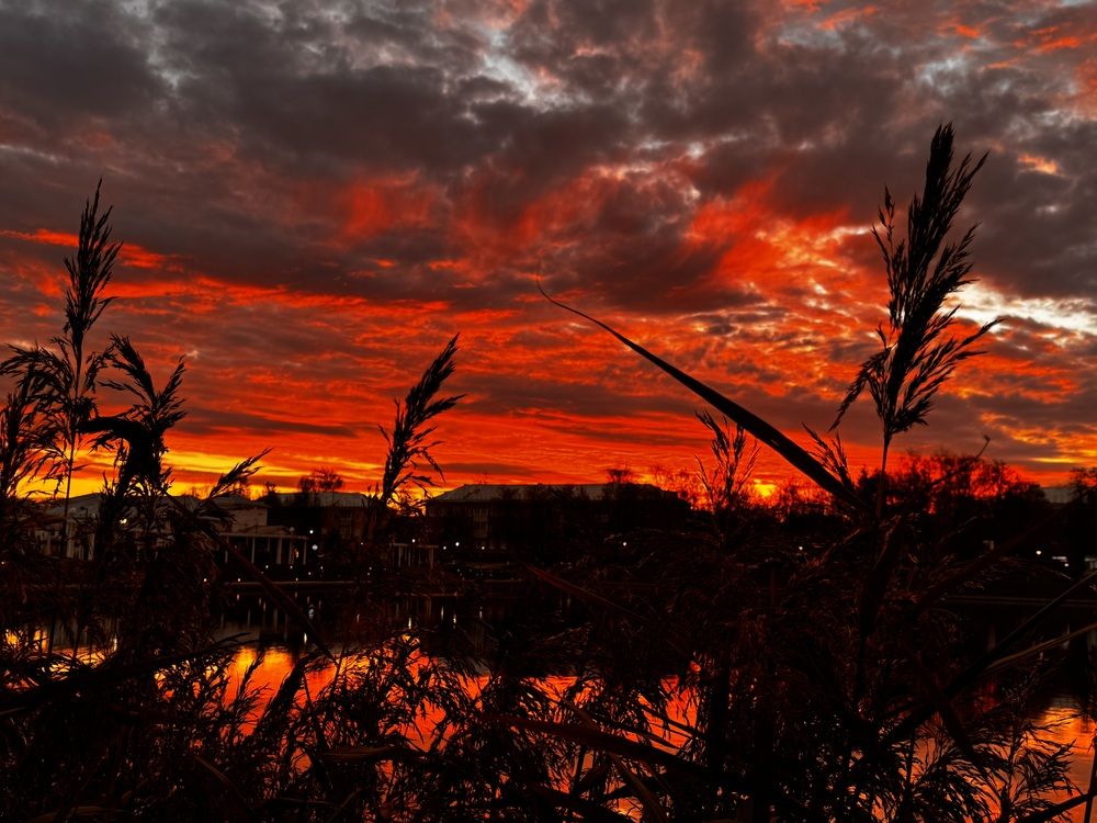 Photograph by Валентина Грегорович