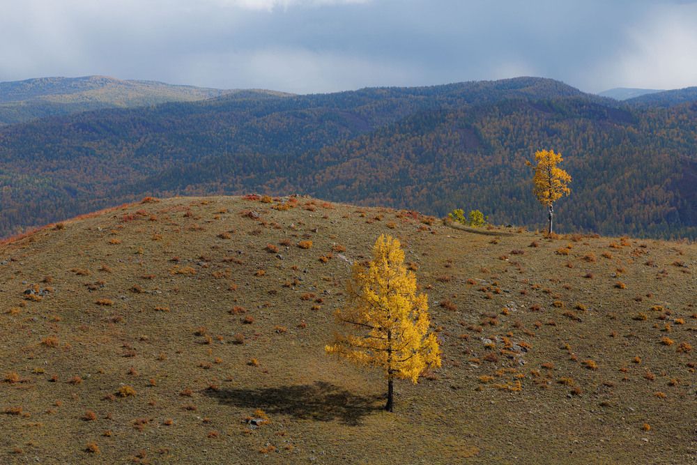 Photograph by Альберт Куулар