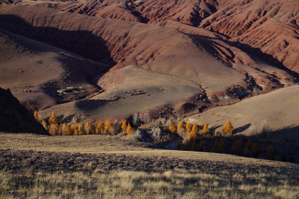 Photograph by Кузнецов Андрей