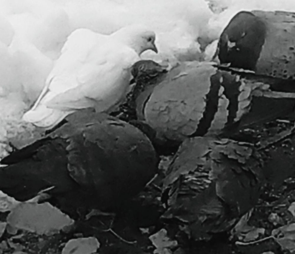 Photograph by Olena Chertous