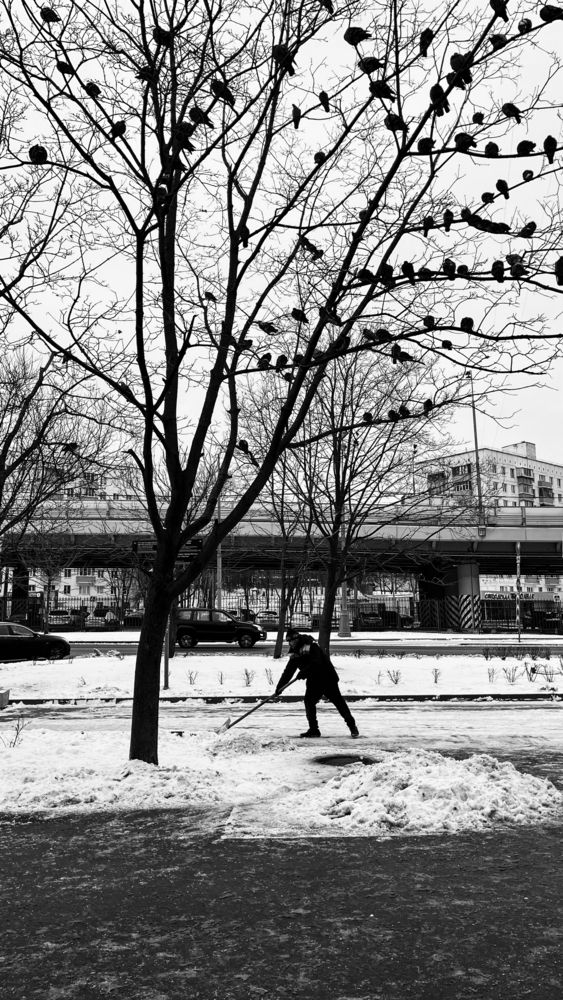 Photograph by Василий Клейменов