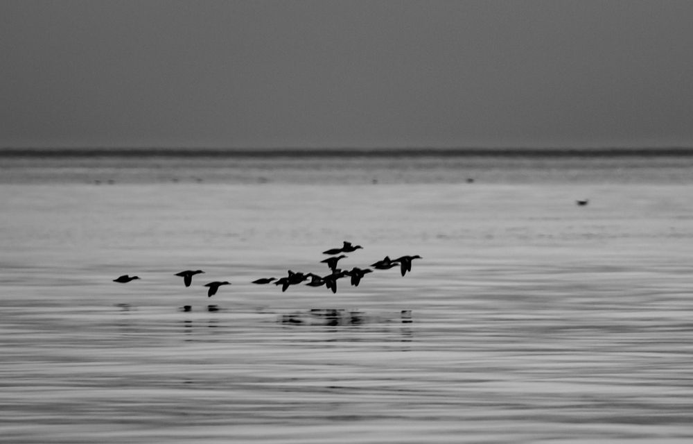 Фотография автора Егор Носов