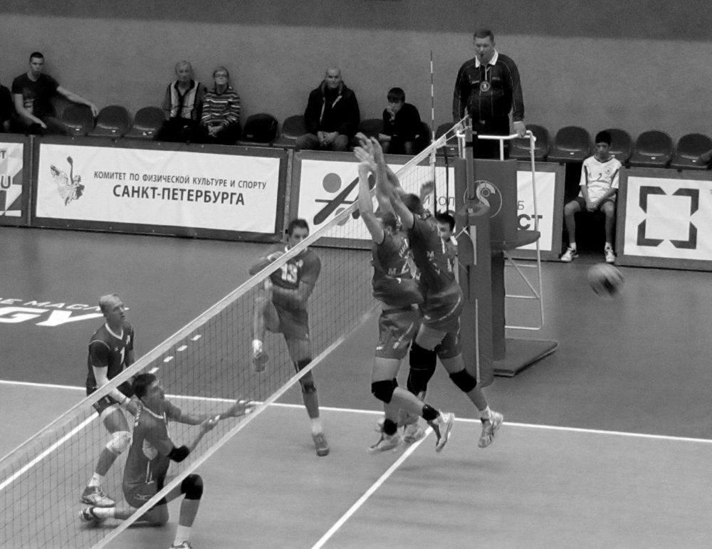 Photograph by Olga Kot