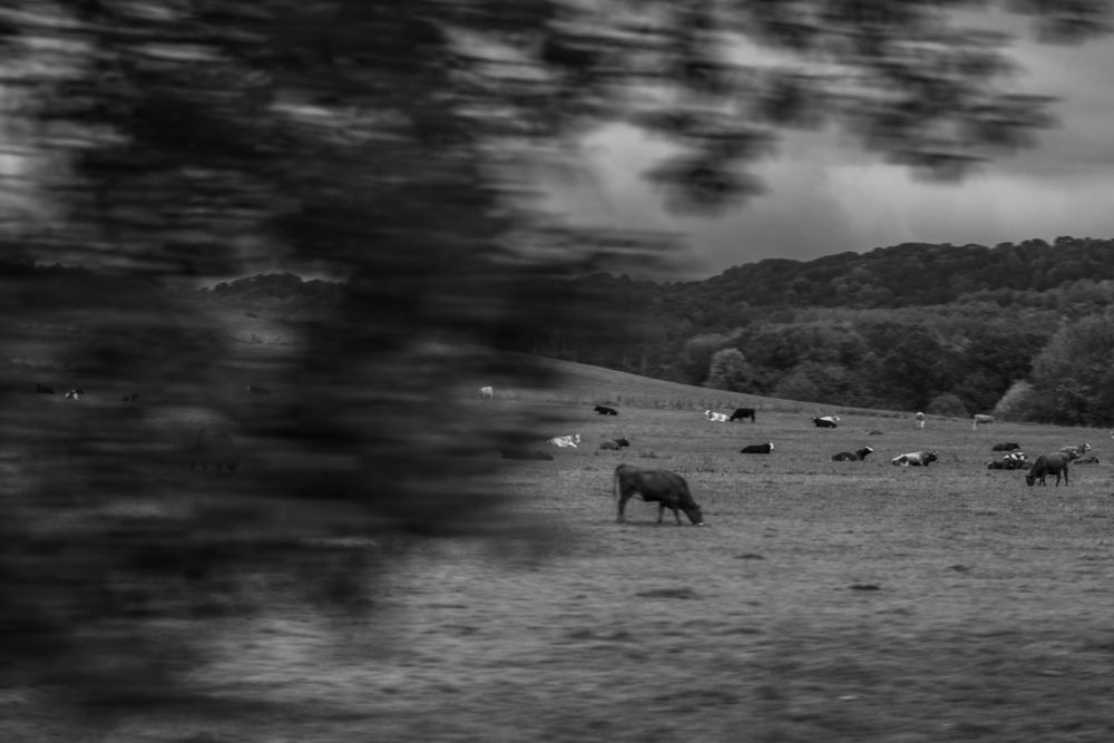 Photograph by Юлия Сысоева