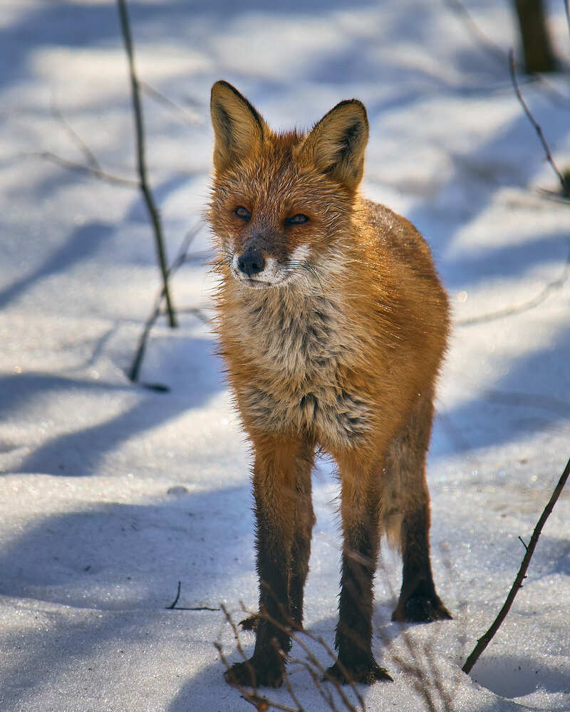 Photograph by Mikhail Khmelevskiy