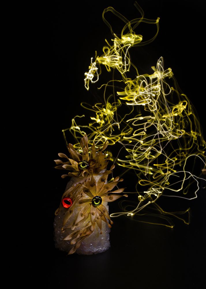 УдивлённоЁ и взлохмаченноЁ!