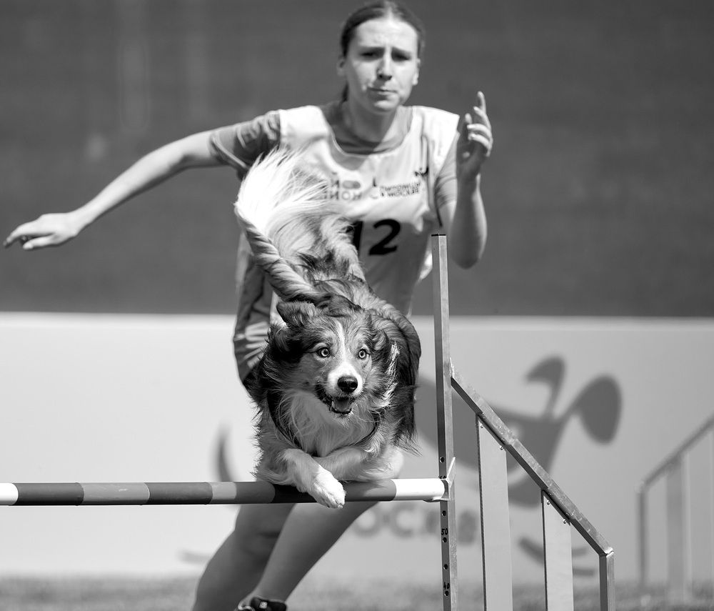 Photograph by Андрей Некрашевич