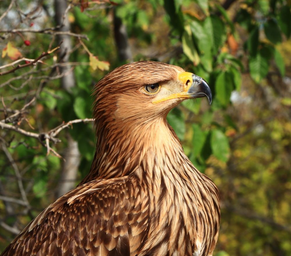 Photograph by Игорь Куленко