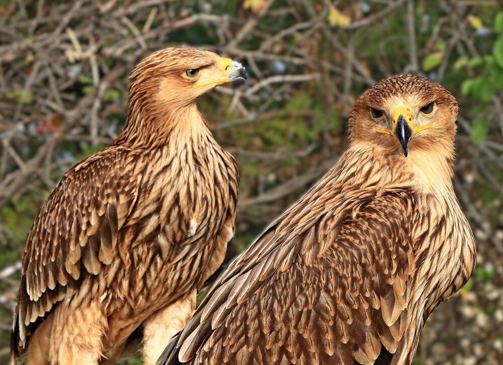 Photograph by Игорь Куленко