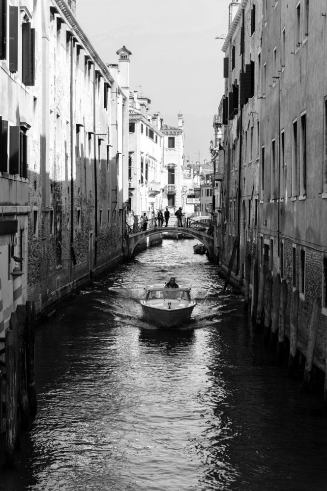 Фотография автора Александр Ананьев