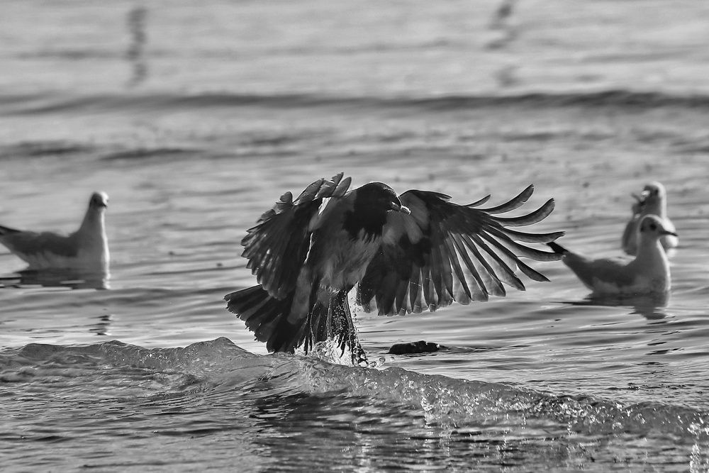 Photograph by Татьяна Бравая