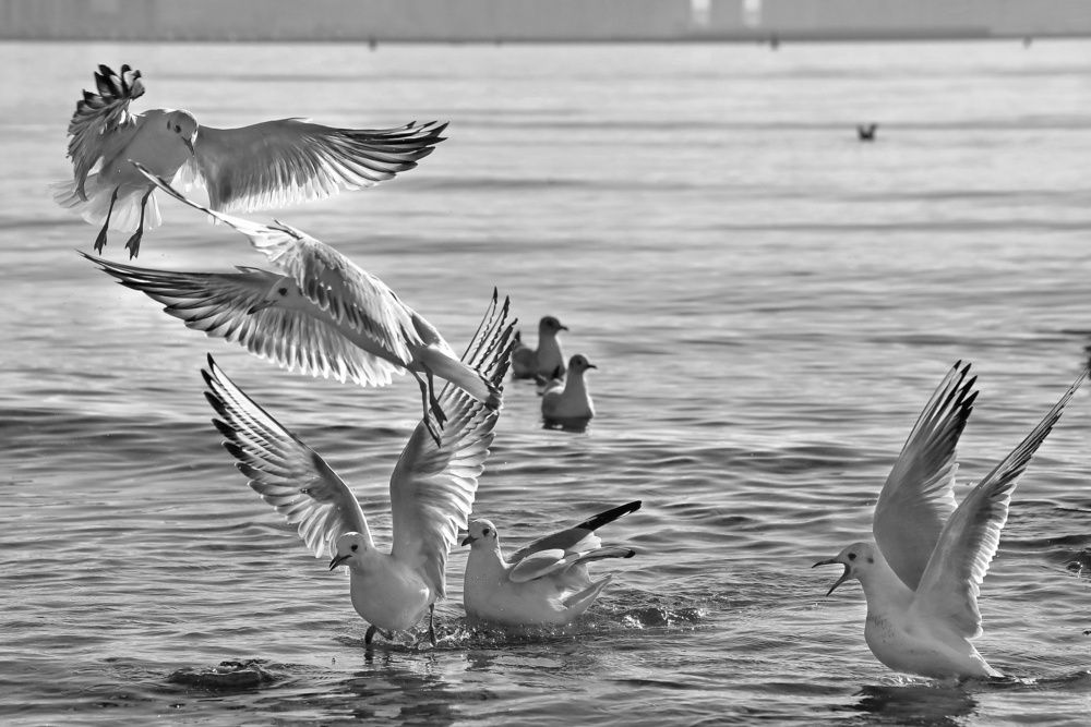 Photograph by Татьяна Бравая