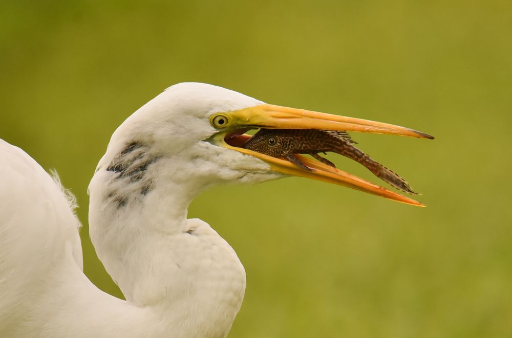 Photograph by Ljudmilla Pavljutsenkova