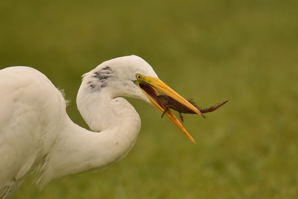 Photograph by Ljudmilla Pavljutsenkova