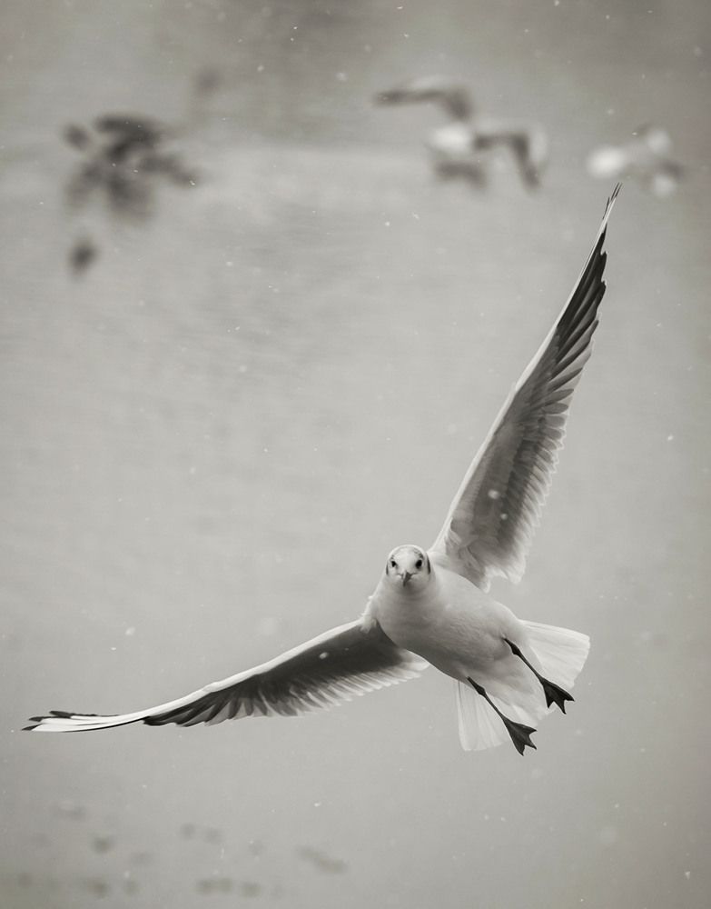 Фотография автора Константин Яковлев