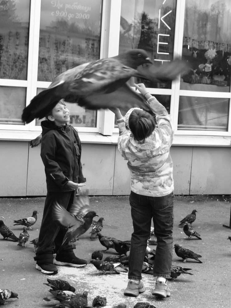 Фотография автора Елена