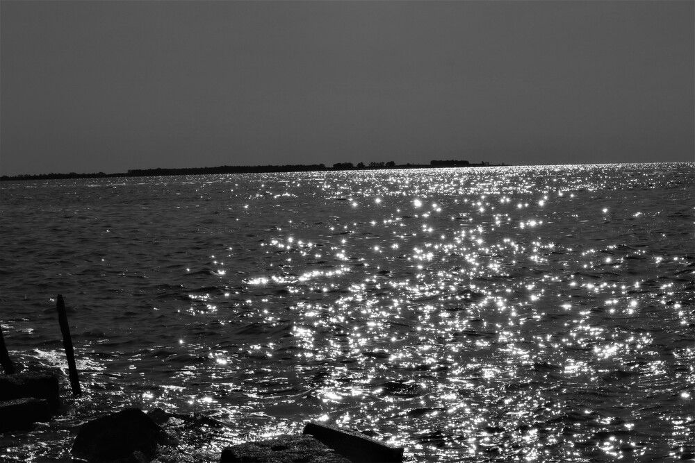 Photograph by Patricia Delionardis