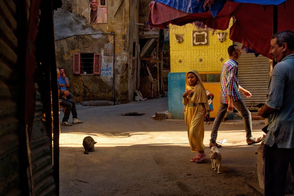Photograph by Tarek  El Magrabe