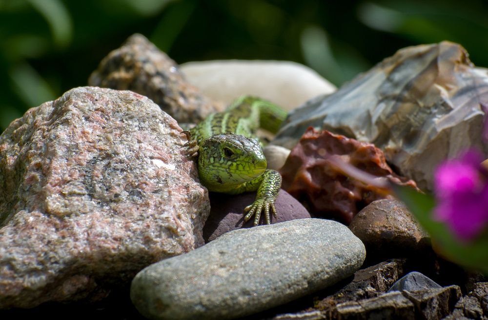 Photograph by Евгений Королев
