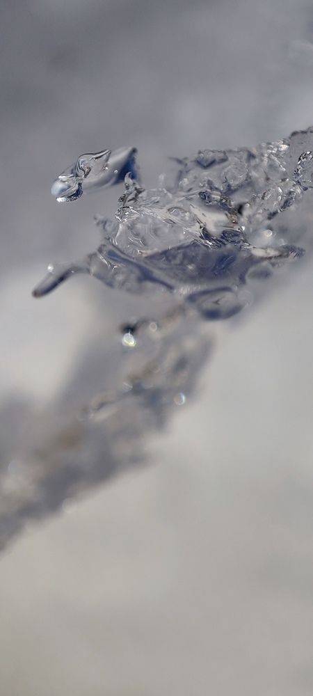 Photo #12823968