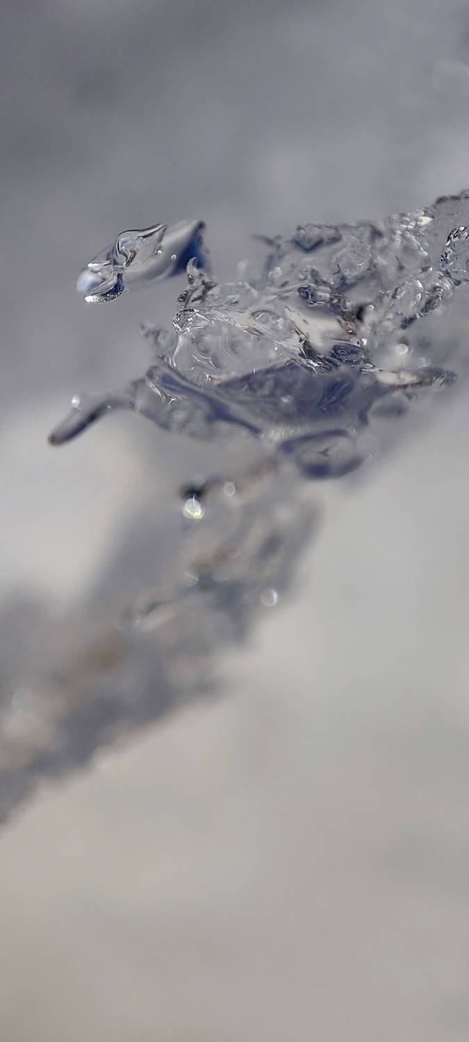 Photo #12823968