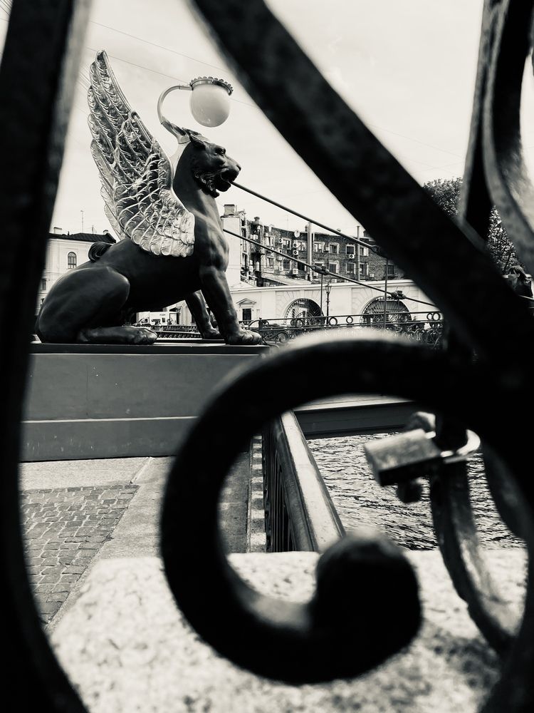 Photograph by Юлия Золотухина