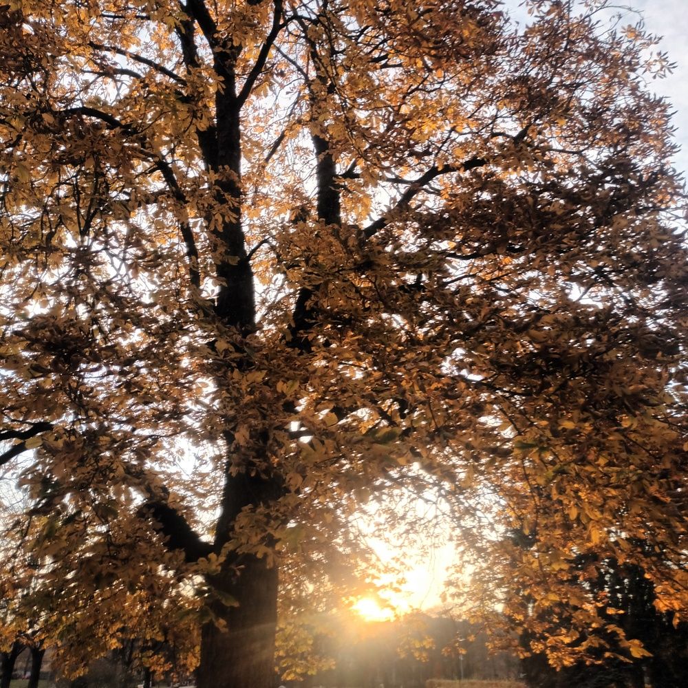 Photograph by Alla Seipulāne