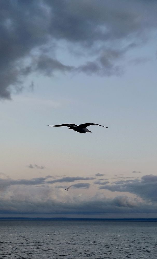 Photograph by Наталия