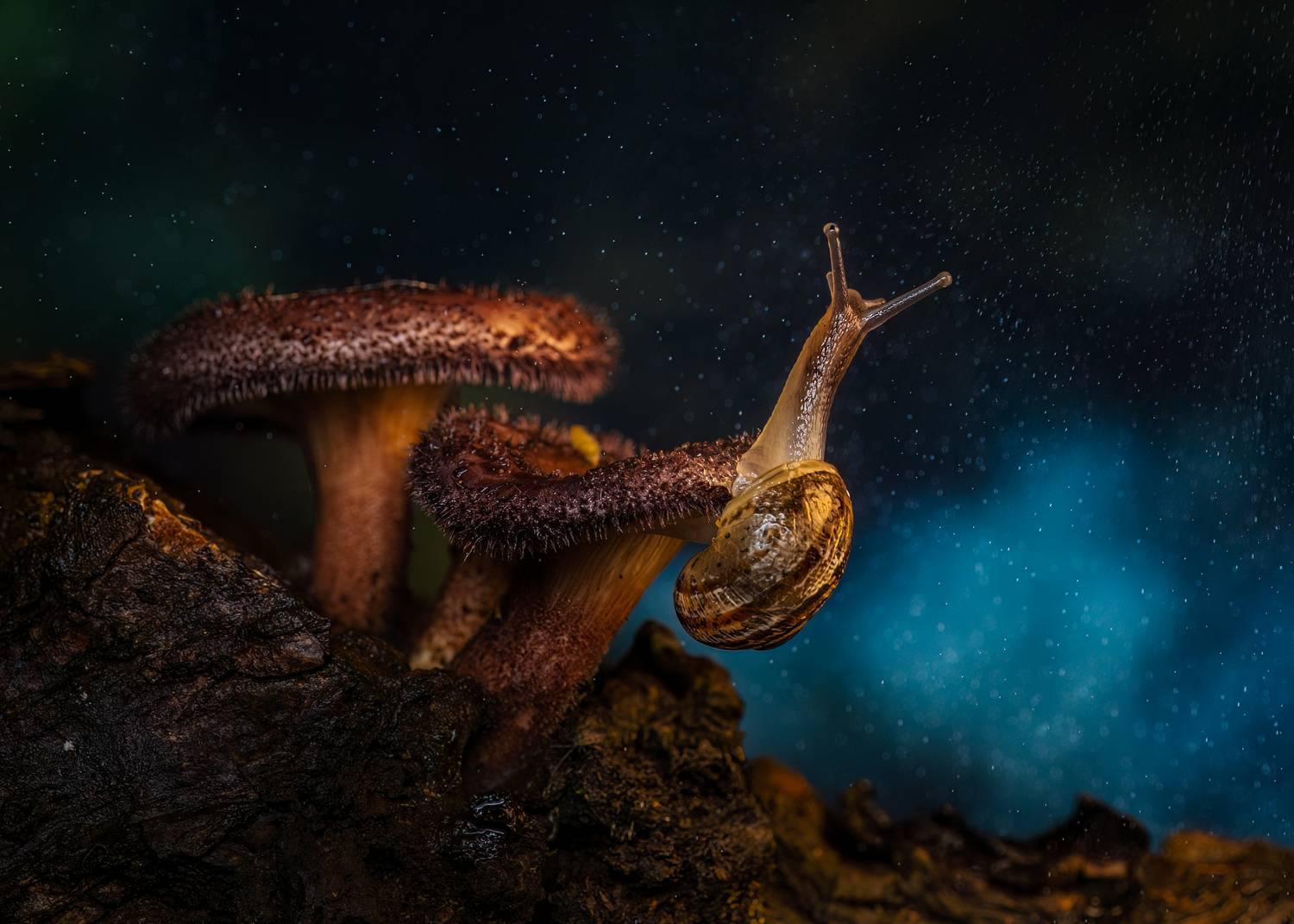 Rain shower Rain shower