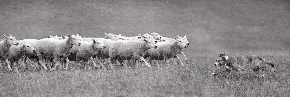 Photograph by Natalie Taylor