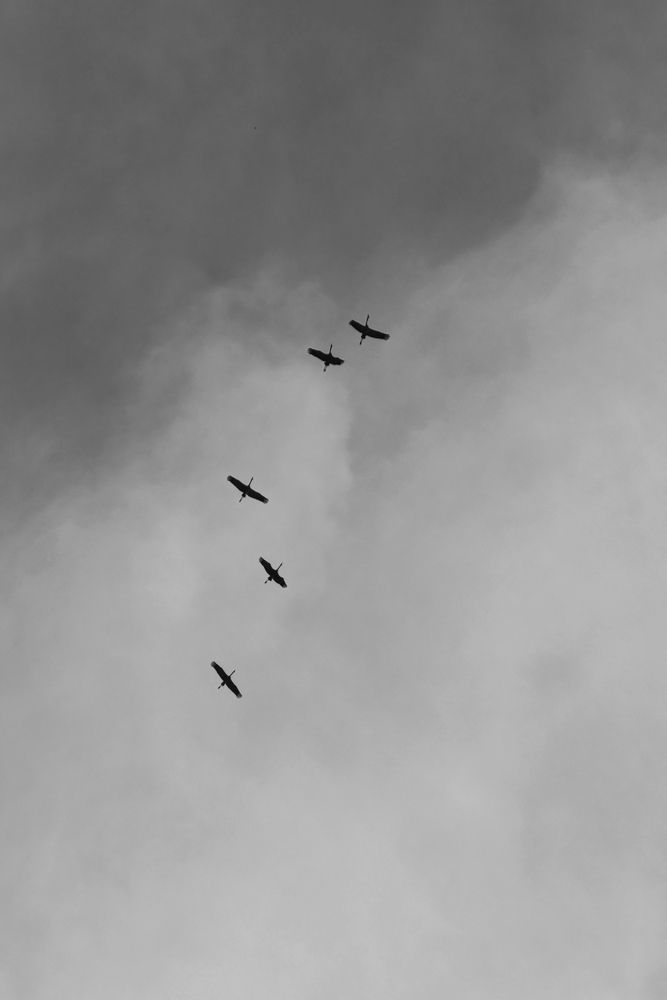 Photograph by Толкачева Наталья