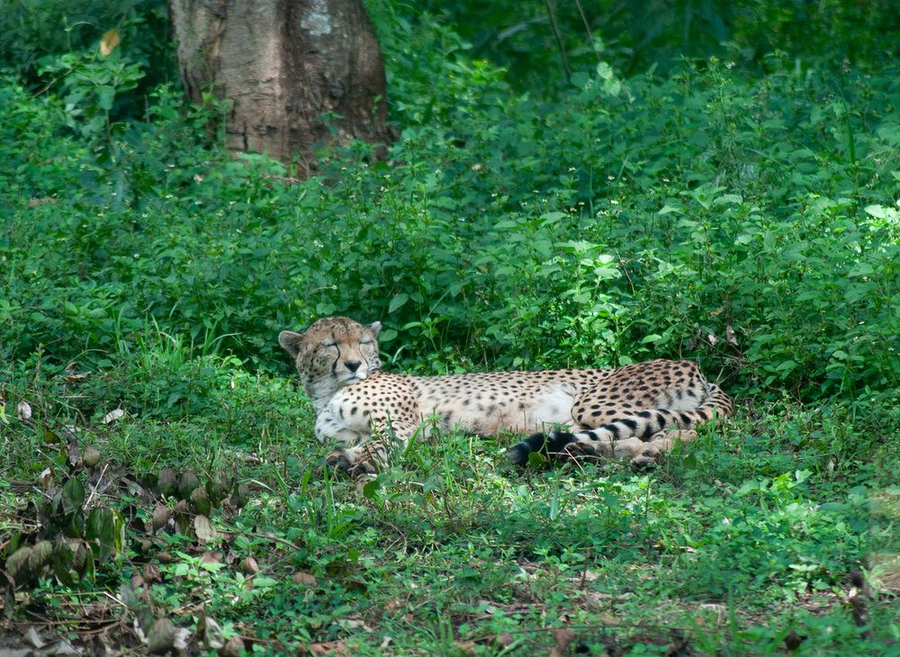 Фотография автора Наталья Липовская