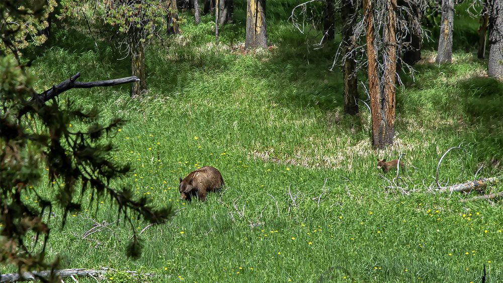 Photograph by Гришанов Пётр