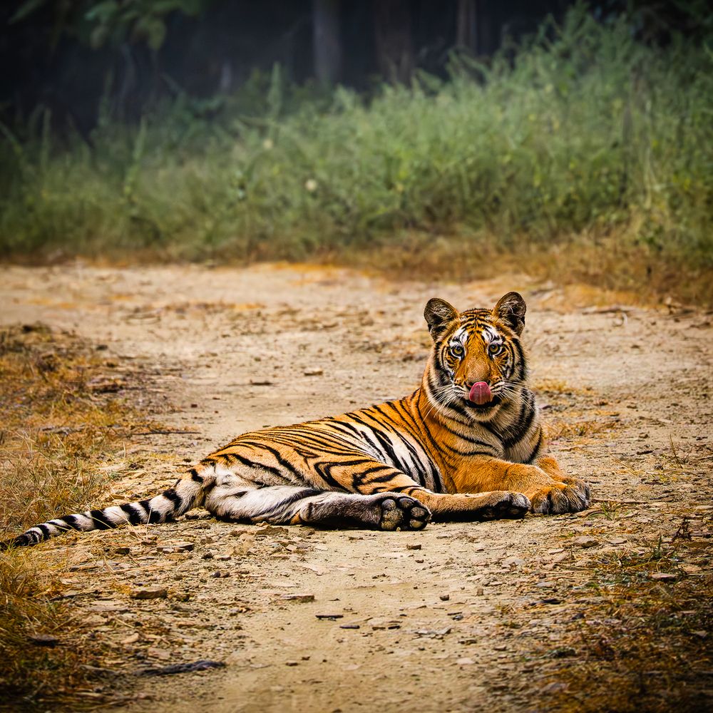 Photograph by MUKESH RAJAN S