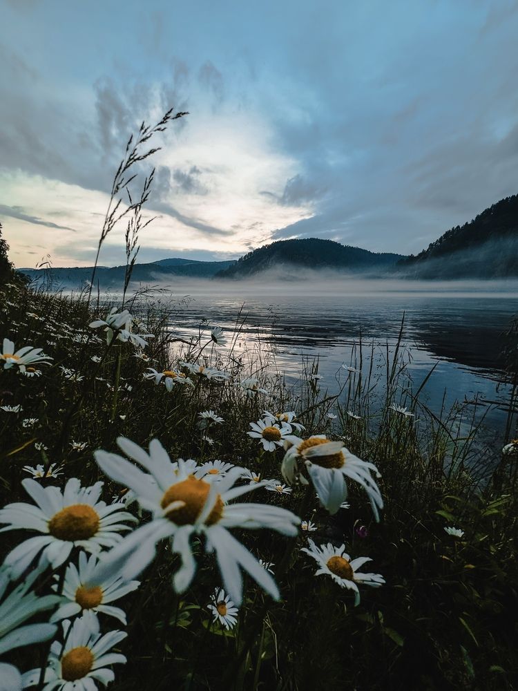 Photograph by Надежда Пахомова