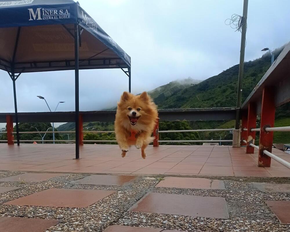 A un Paso del Cielo