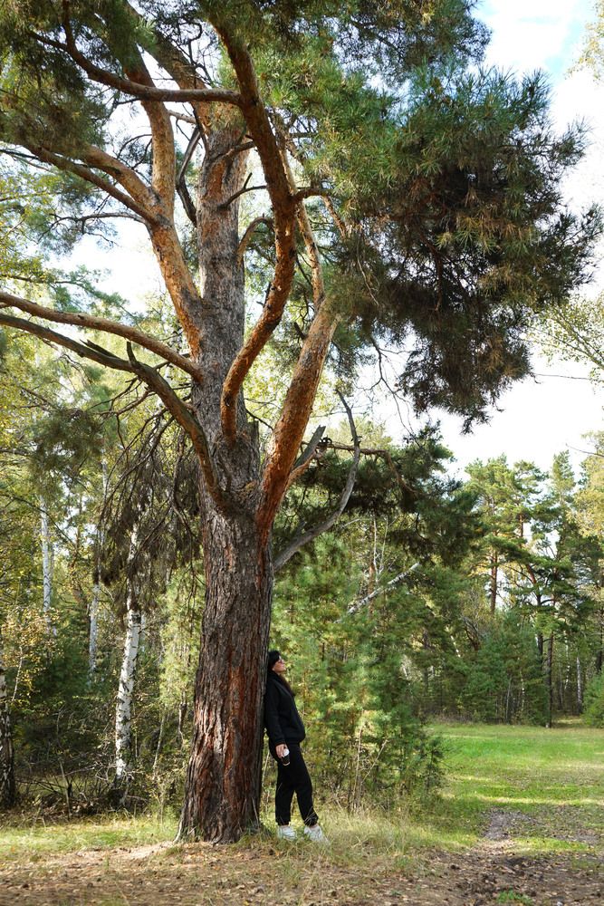 Photograph by Любовь Лунина