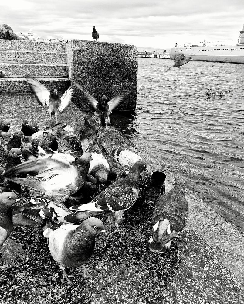 Photograph by Лариса Лысенко