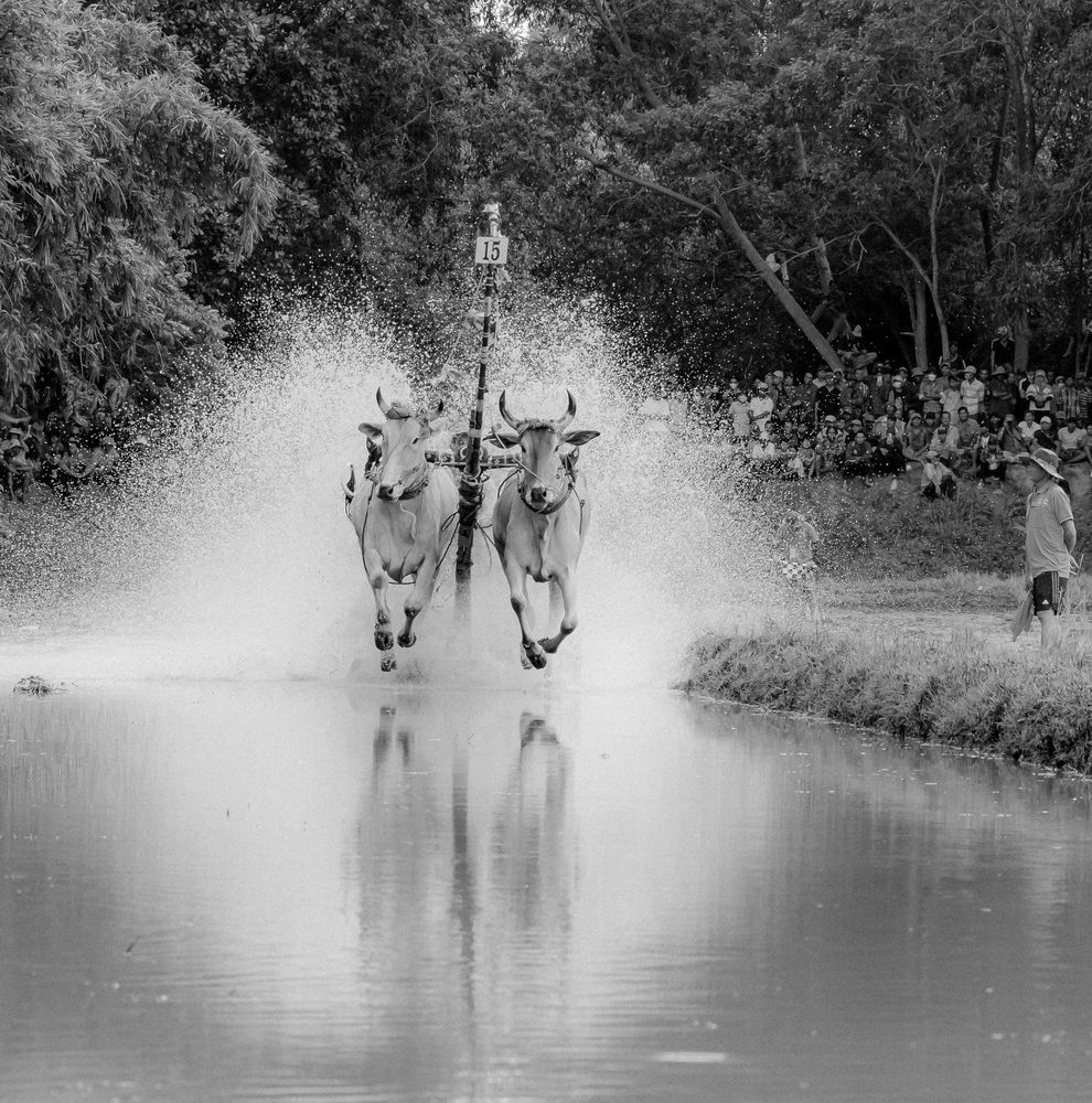 Фотография автора QUAN NGUYEN HUNG