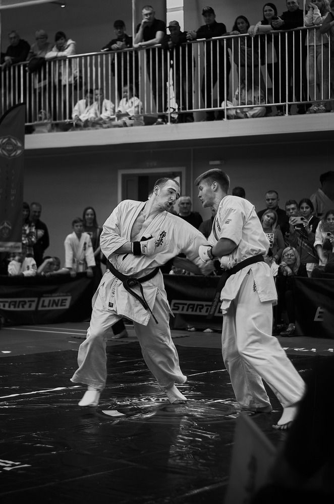 Фотография автора Анастасия Бондарь